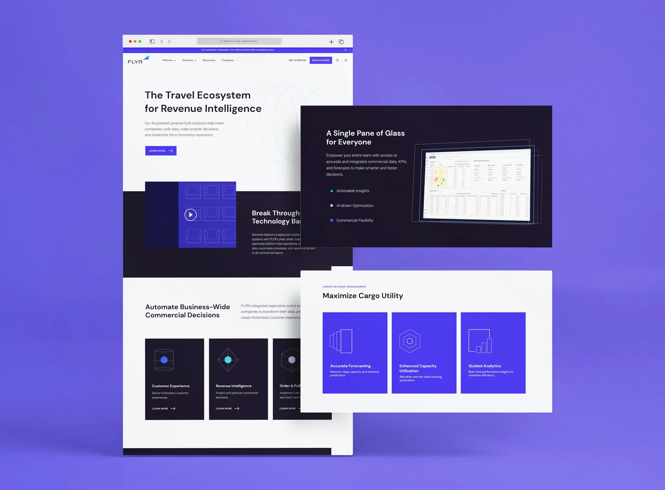 FLYR Branding & Digital Ecosystem