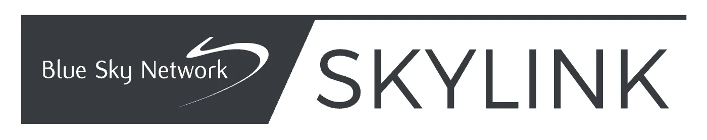 The SkyLink wordmark set in the brand's house type on a plain background.